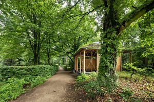 Sfeerbeeld natuurbegraafplaats Boschveld in Oosterbeek