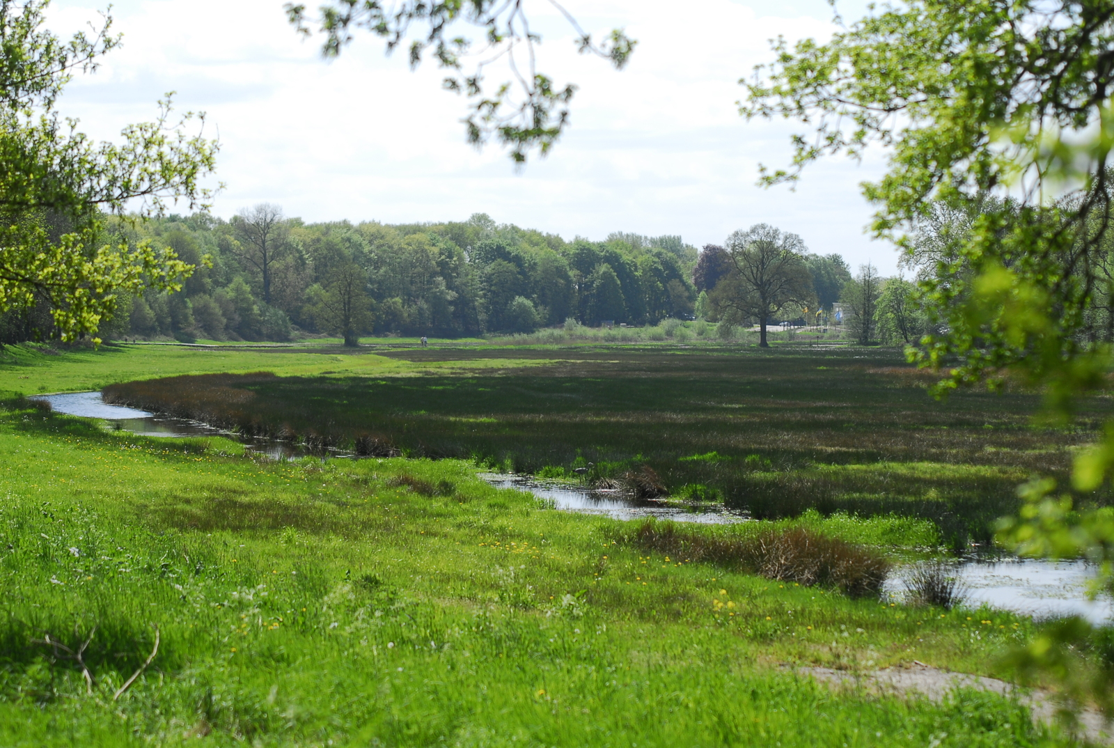 Renkums Beekdal