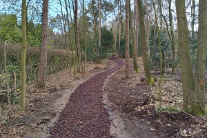 Sfeerbeeld natuurbegraafplaats Boschveld
