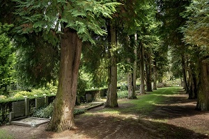 Sfeerbeeld begraafplaats Oosterbeek Zuid