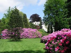 Park Hartenstein