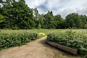 Sfeerbeeld natuurbegraafplaats Boschveld