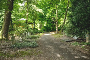 Sfeerbeeld begraafplaats Oosterbeek Noord