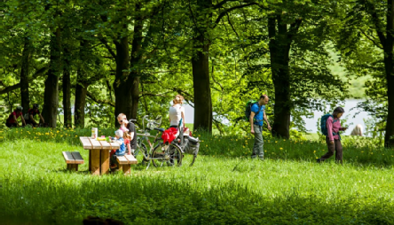 Welkom in Renkum smal