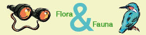 Banner Flora en Fauna 300 x 72 pixels