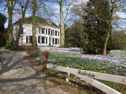 Heidestein
