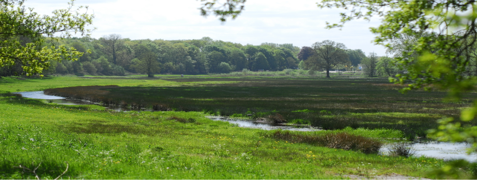 foto-renkums-beekdal