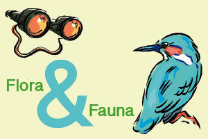 Banner Flora en Fauna 300 x 200 pixels