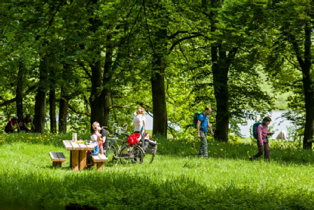 Welkom in Renkum